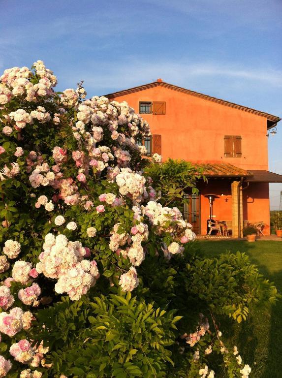 Azienda Agrituristica Bellavista Villa มอนเตสแปร์โตลิ ภายนอก รูปภาพ