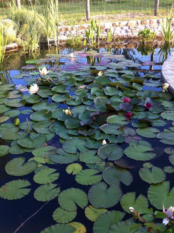 Azienda Agrituristica Bellavista Villa มอนเตสแปร์โตลิ ภายนอก รูปภาพ