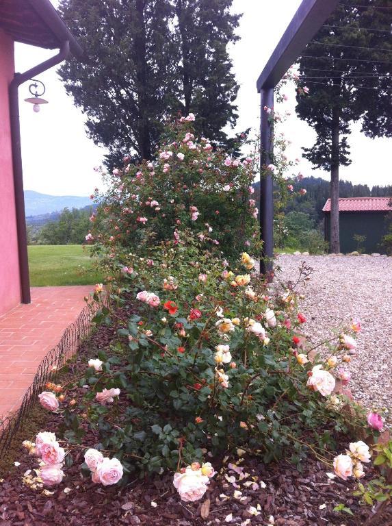 Azienda Agrituristica Bellavista Villa มอนเตสแปร์โตลิ ภายนอก รูปภาพ