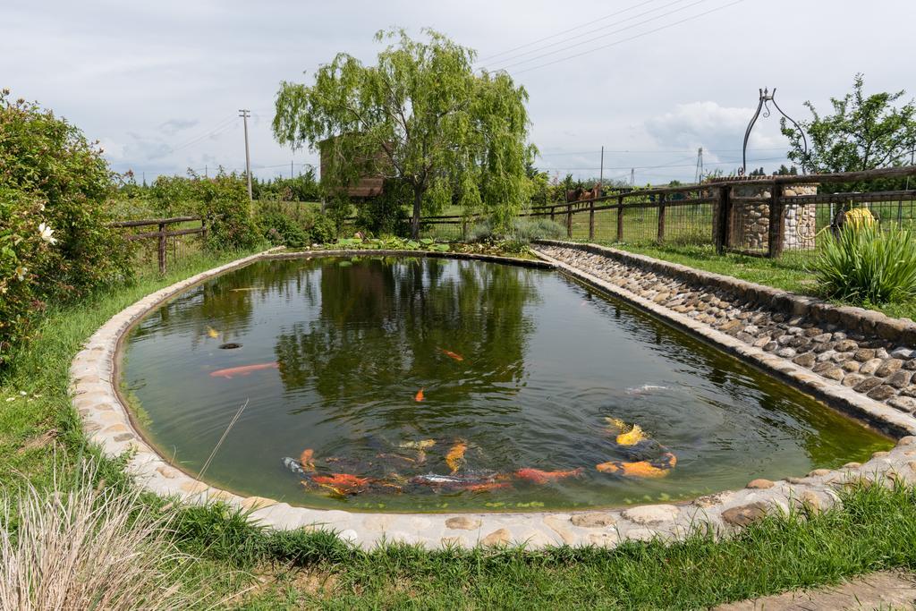 Azienda Agrituristica Bellavista Villa มอนเตสแปร์โตลิ ภายนอก รูปภาพ